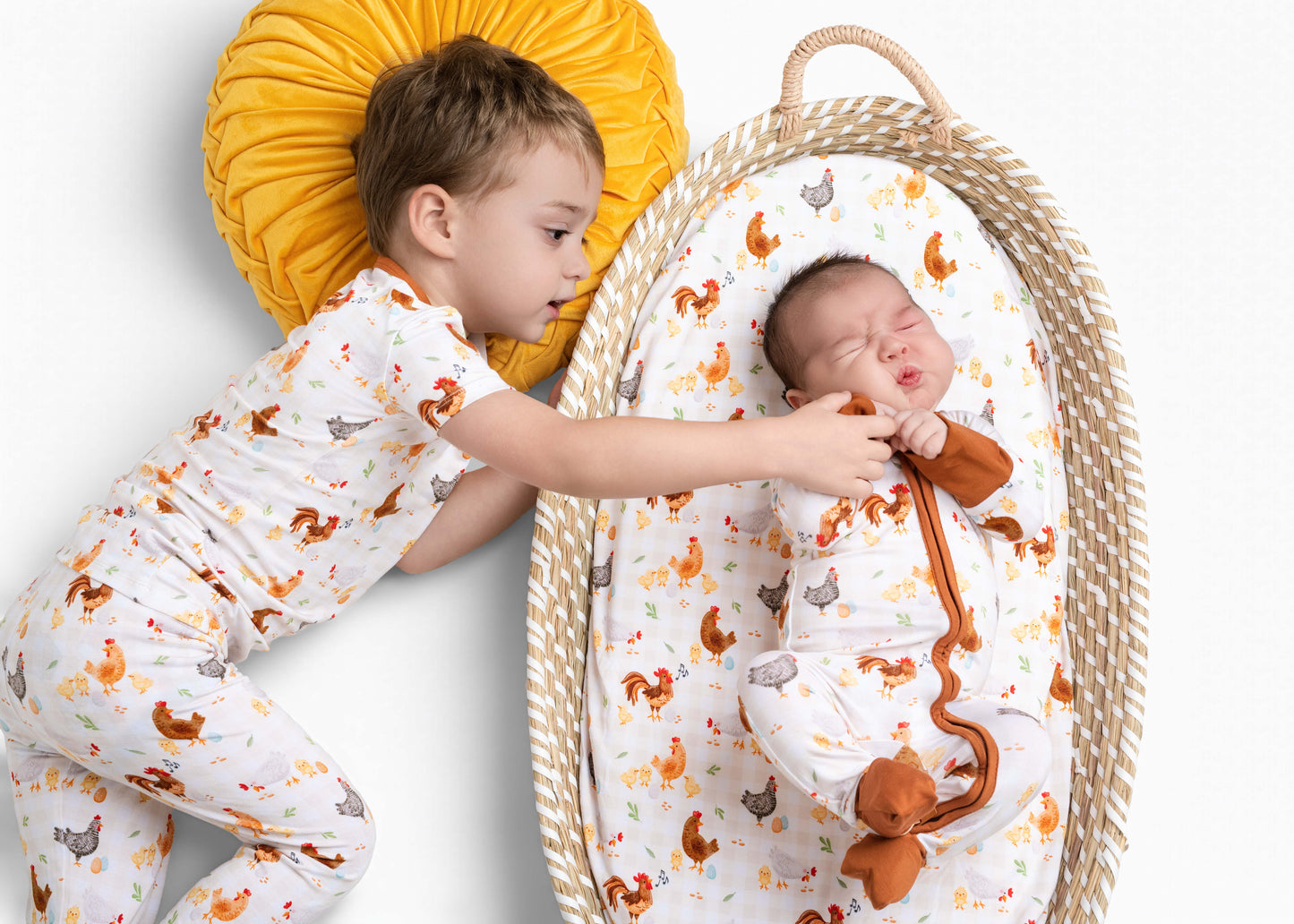 BACKYARD CHICKENS | READY TO SHIP