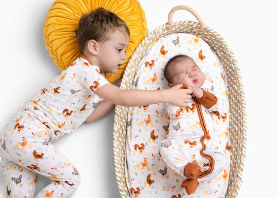 BACKYARD CHICKENS | READY TO SHIP