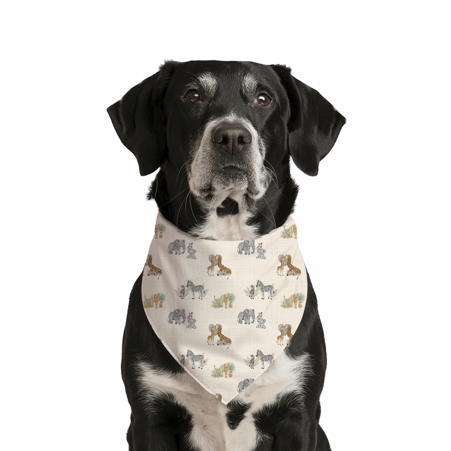 MAMA'S LOVE | PET BANDANA | READY TO SHIP