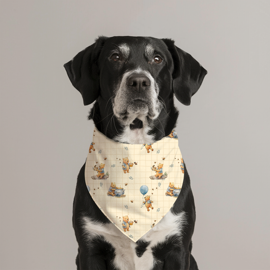 HUNNY BEAR | PET BANDANA | FINAL SALE