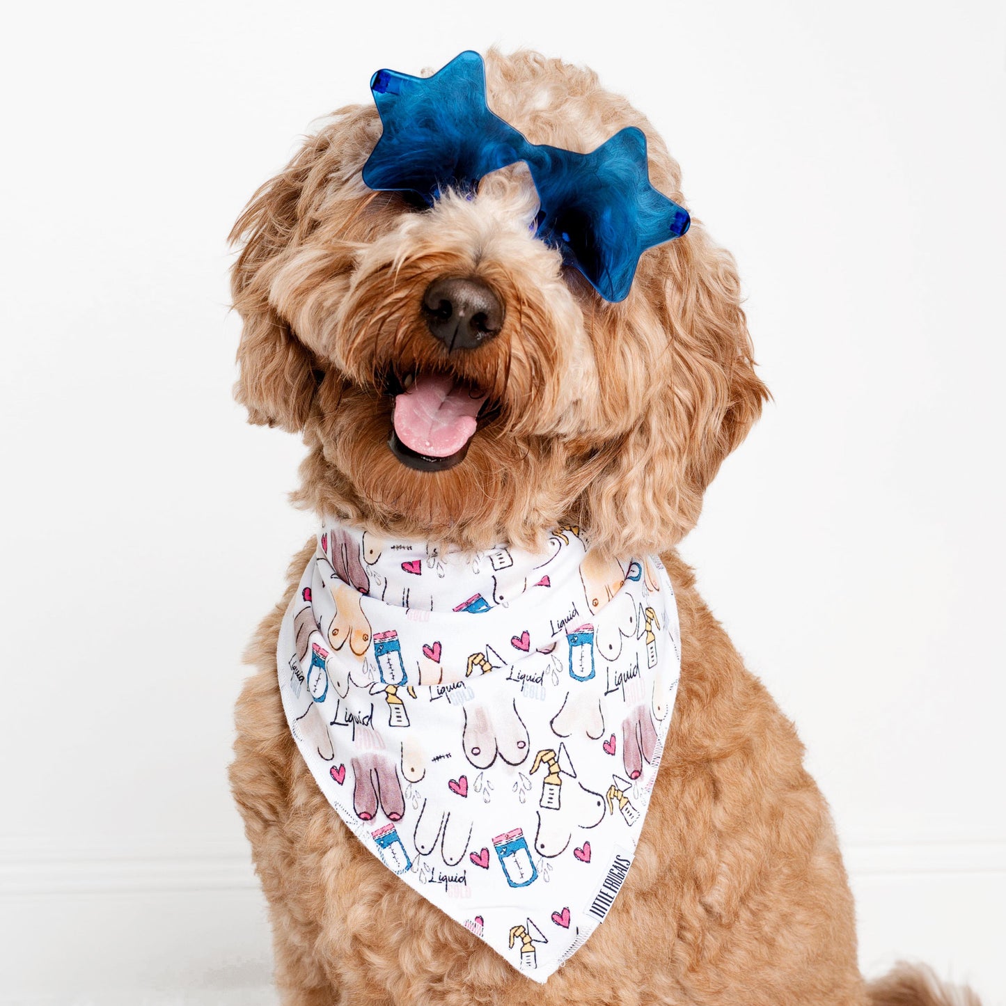 LATCHED | PET BANDANA | READY TO SHIP