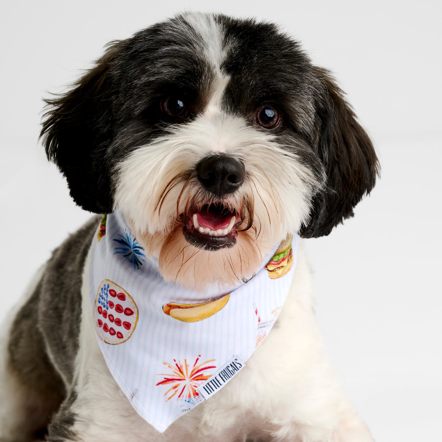 AMERICAN DREAMS | PET BANDANA | READY TO SHIP