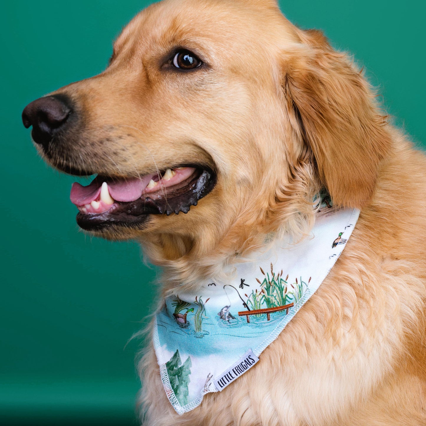 BACKWOODS BUDDIES | PET BANDANA | READY TO SHIP