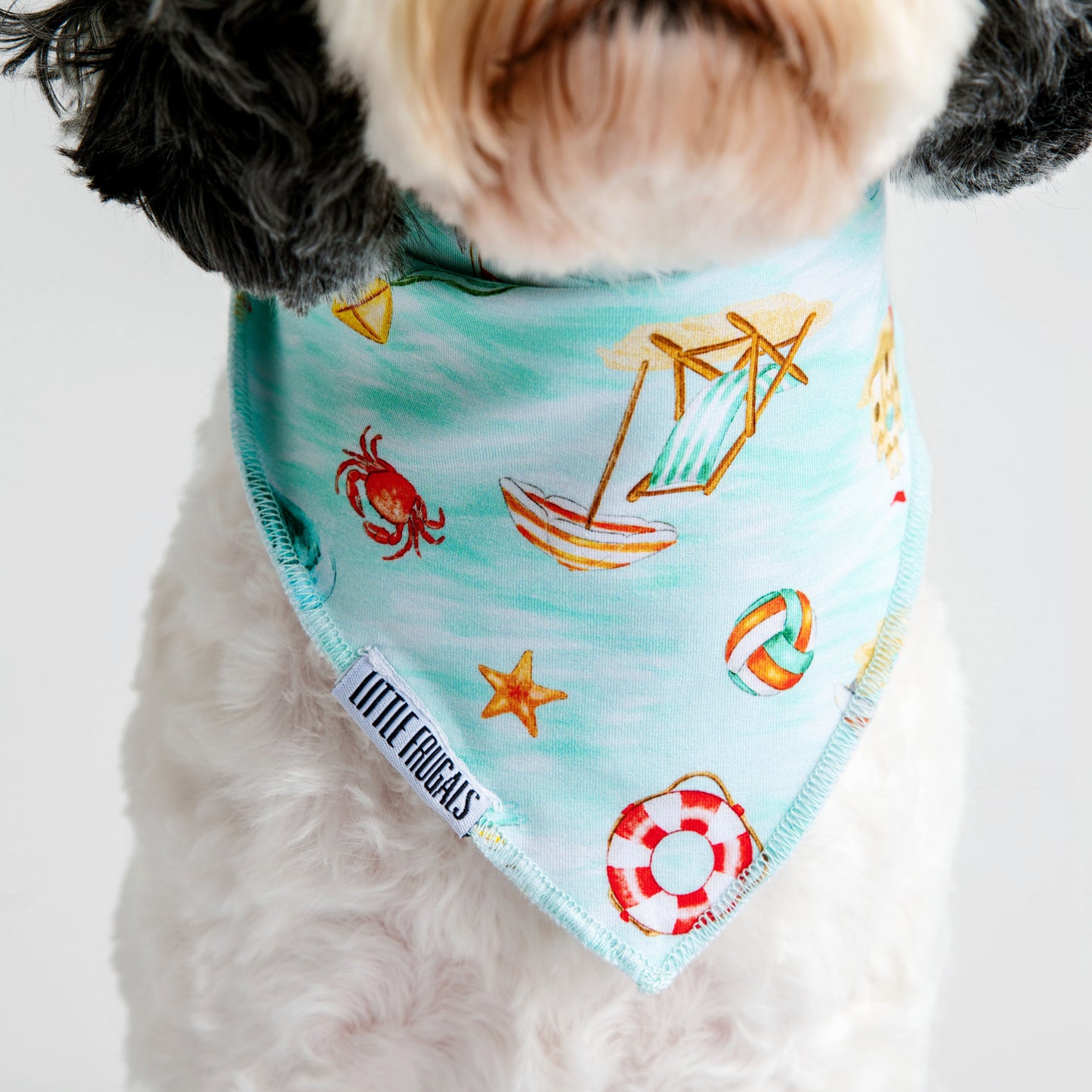 BEACH DAY | PET BANDANA | READY TO SHIP