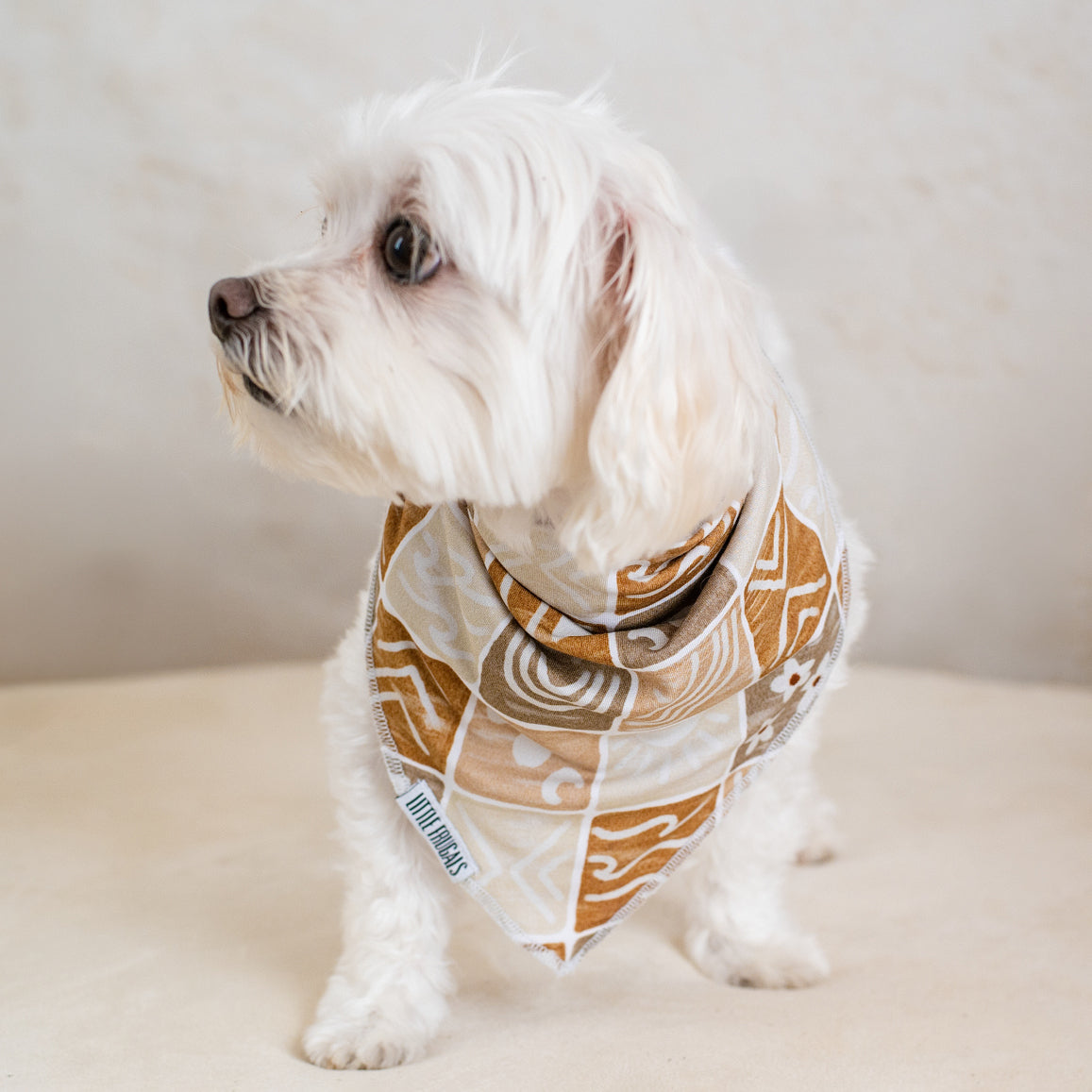 BOHO TILES  | PET BANDANA