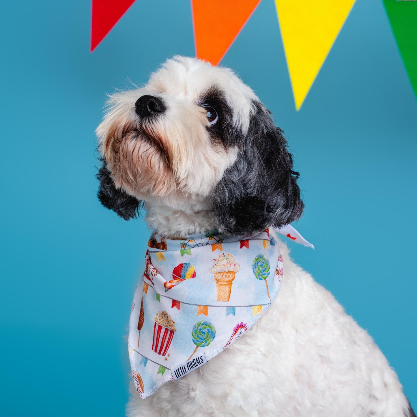 TAKE ME TO THE FAIR | PET BANDANA | READY TO SHIP