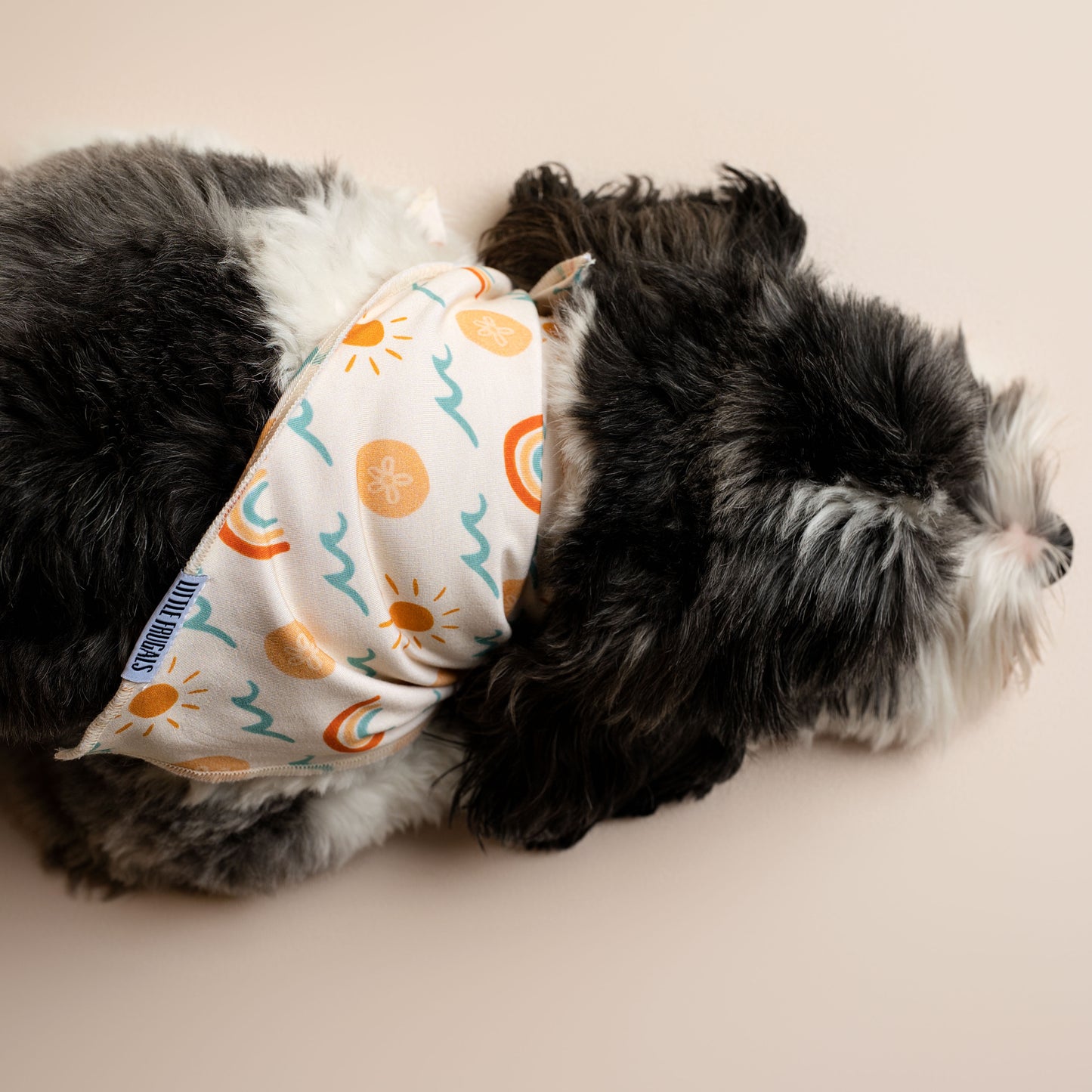 SAND DOLLARS & SUNSHINE | PET BANDANA | READY TO SHIP