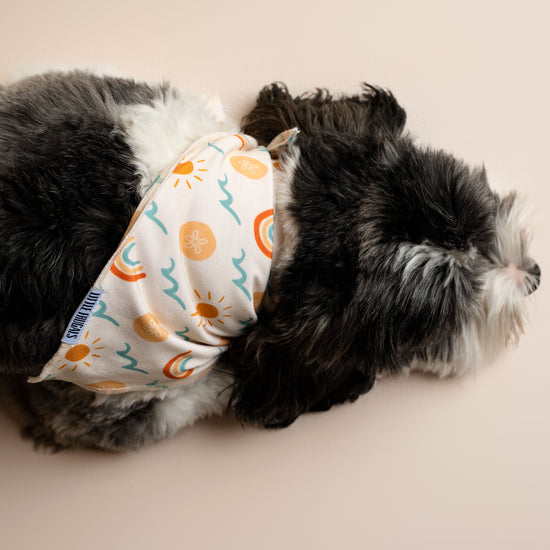 SAND DOLLARS & SUNSHINE | PET BANDANA | READY TO SHIP