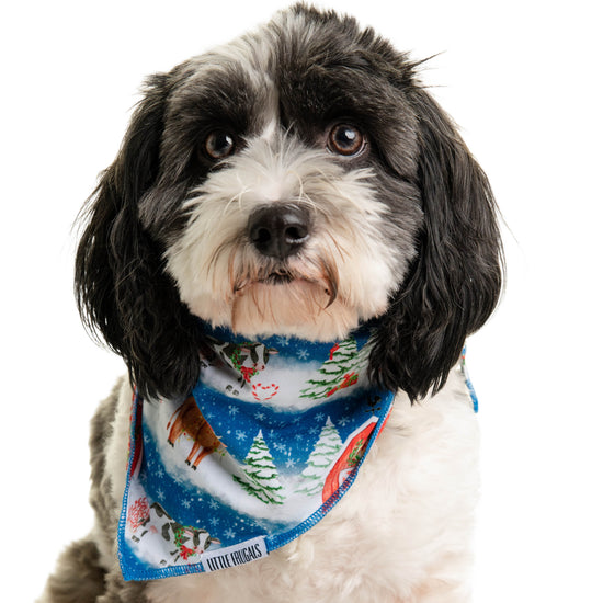 Barnyard Holidays  | PET BANDANA