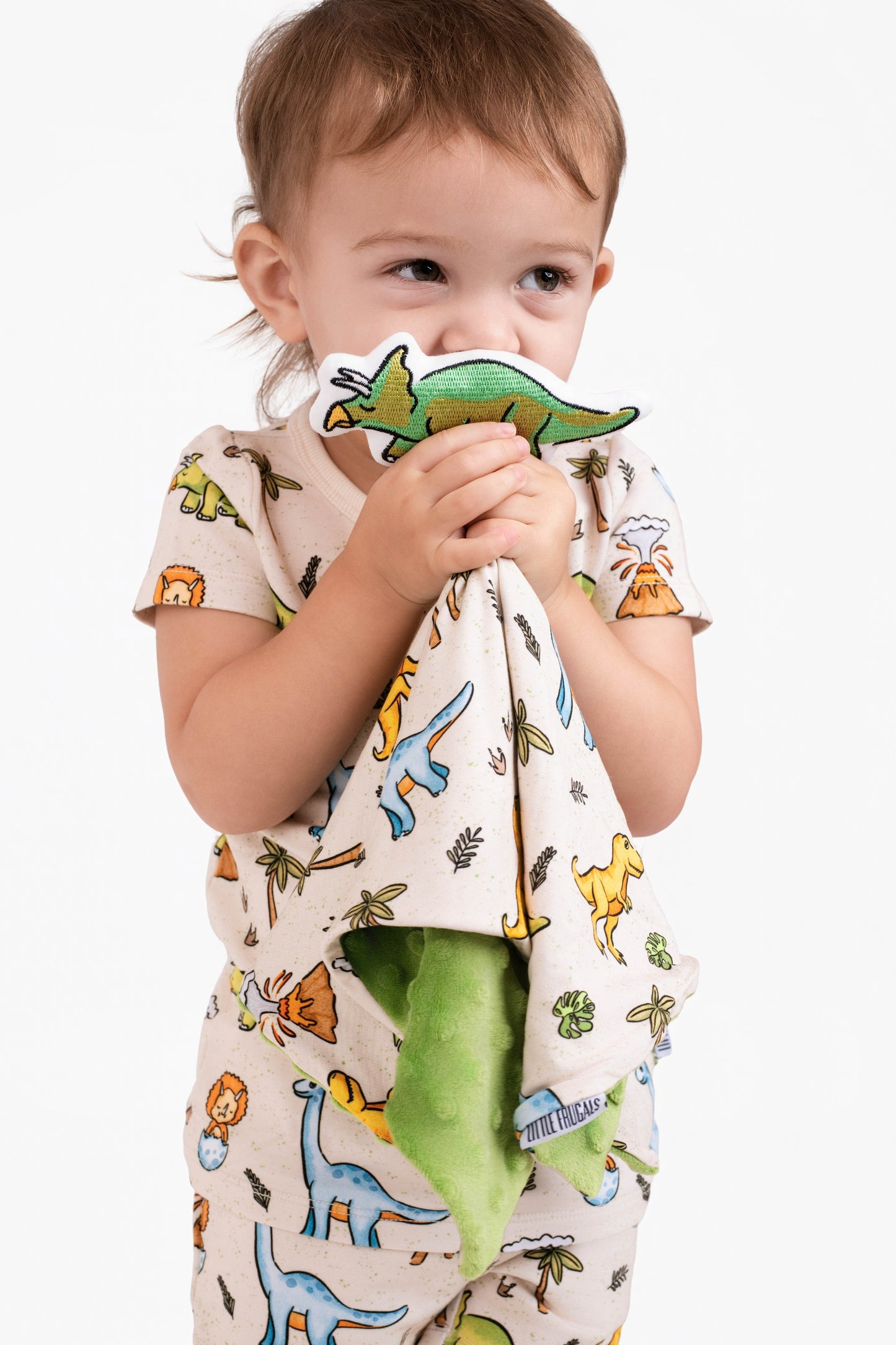 PREHISTORIC GREEN DINOS | Stuffed Lovie | READY TO SHIP
