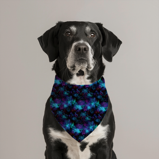 SHRUNKEN GALAXY | PET BANDANA | FINAL SALE