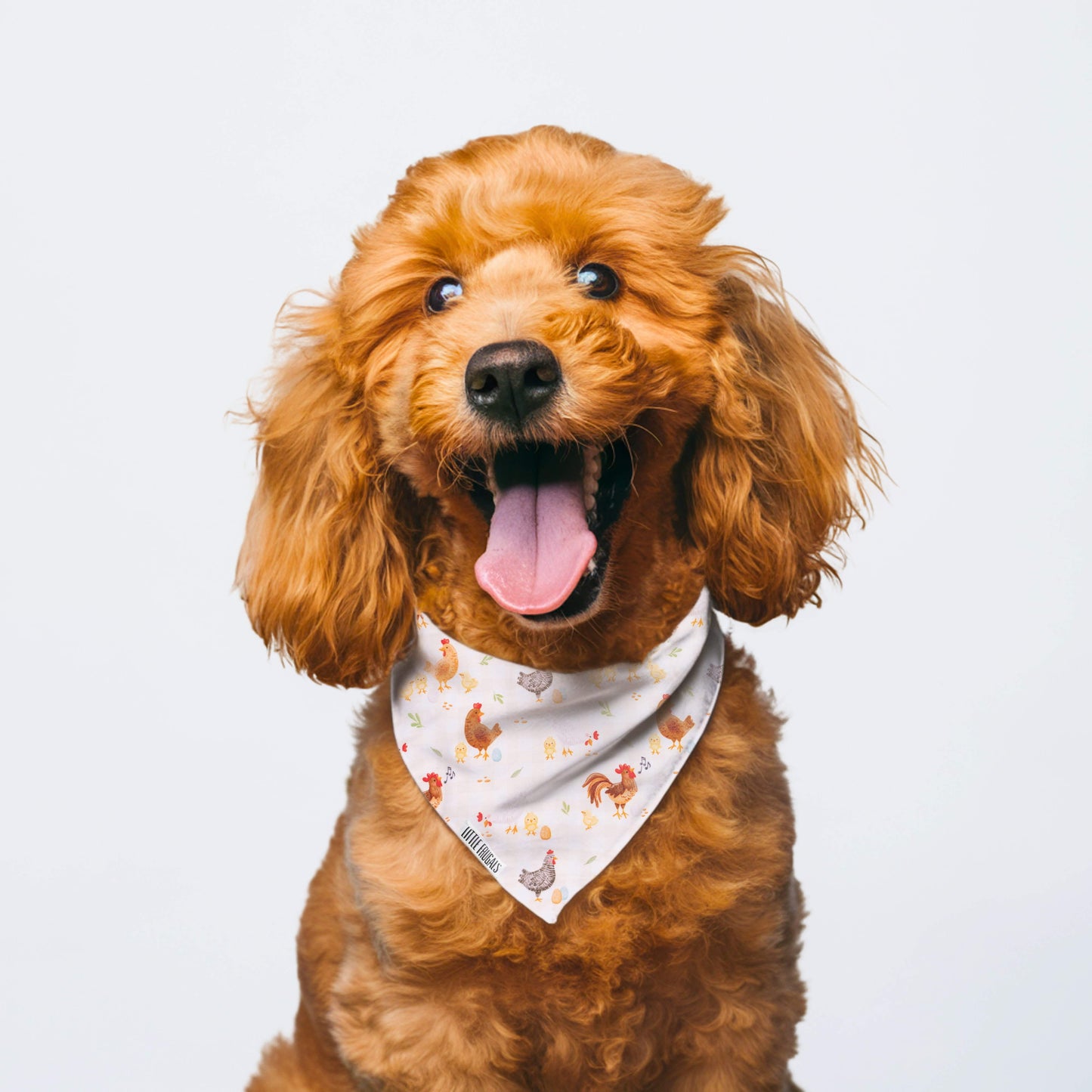 BACKYARD CHICKENS  | PET BANDANA
