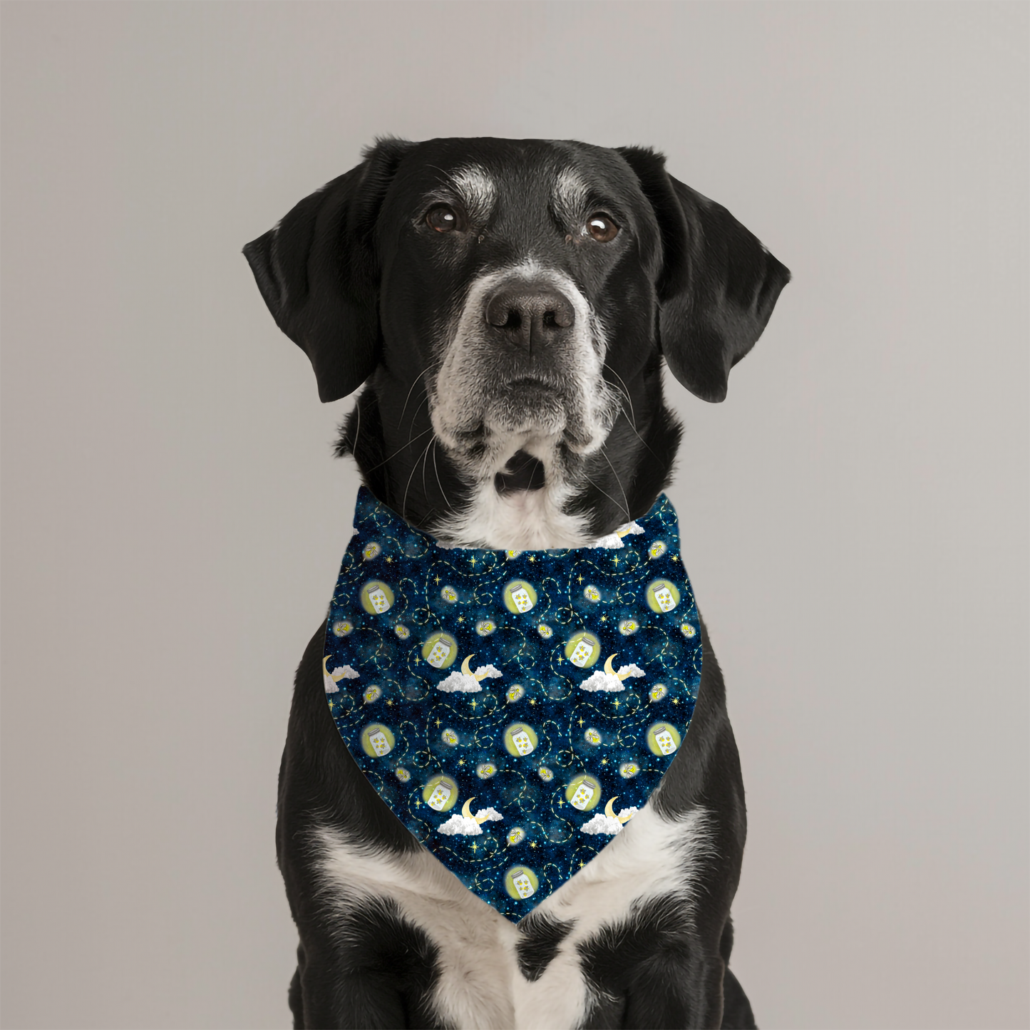 NOSTALGIC NIGHTS | FIREFLIES | PET BANDANAS | READY TO SHIP