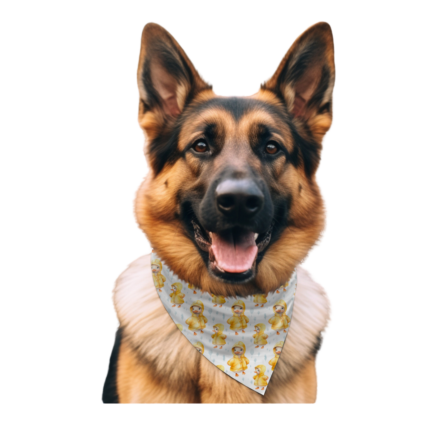PITTER PATTER | PET BANDANA | PRE-ORDER ETA AUGUST